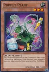 Product image for Puppet Plant